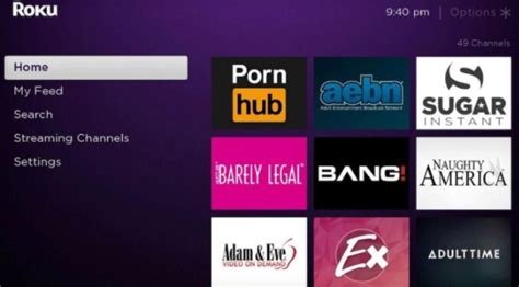 roku porn chanel|The 7 Best Premium Porn Roku Channels (2024).